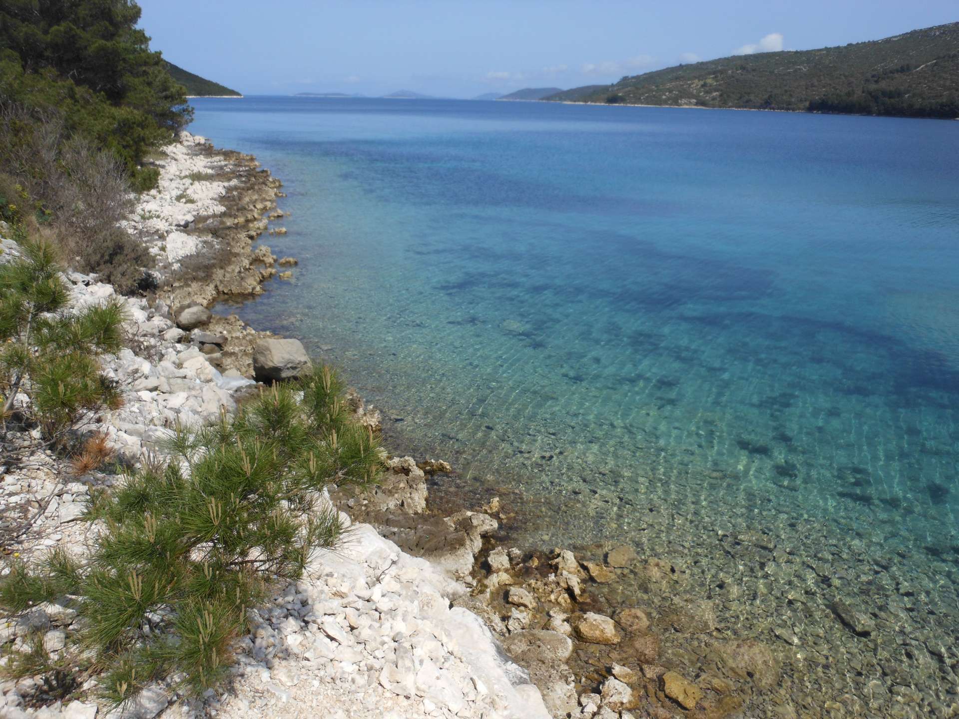 Galerija - 